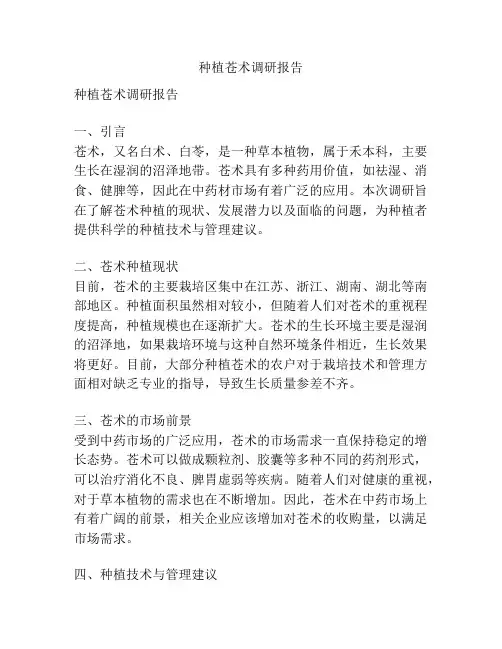 种植苍术调研报告