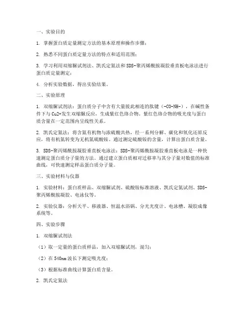 蛋白定量测定实验报告