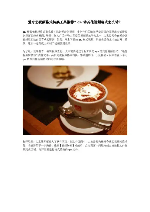 爱奇艺视频格式转换工具推荐？qsv转其他视频格式怎么转？