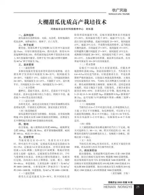 大棚甜瓜优质高产栽培技术