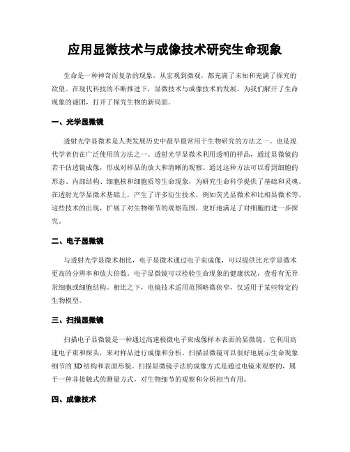 应用显微技术与成像技术研究生命现象