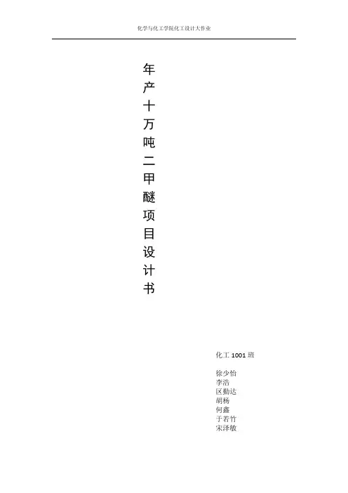 年产10万吨二甲醚项目