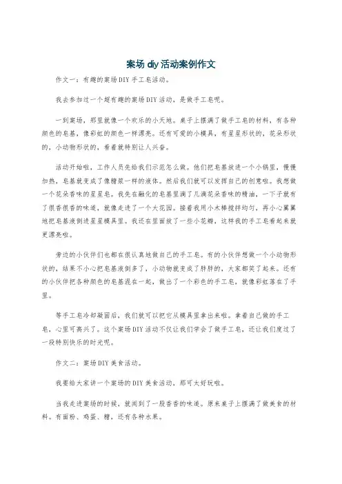 案场diy活动案例作文
