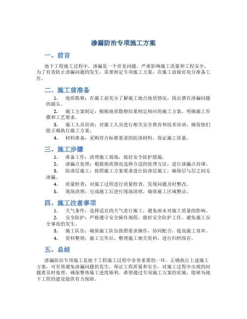 渗漏防治专项施工方案