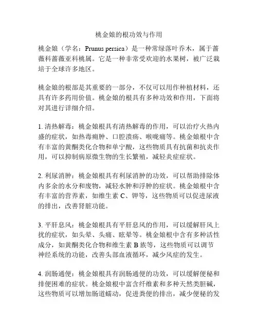 桃金娘的根功效与作用