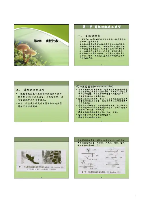 第9章菌根技术