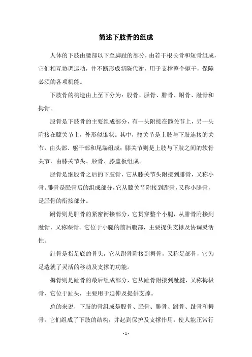 简述下肢骨的组成
