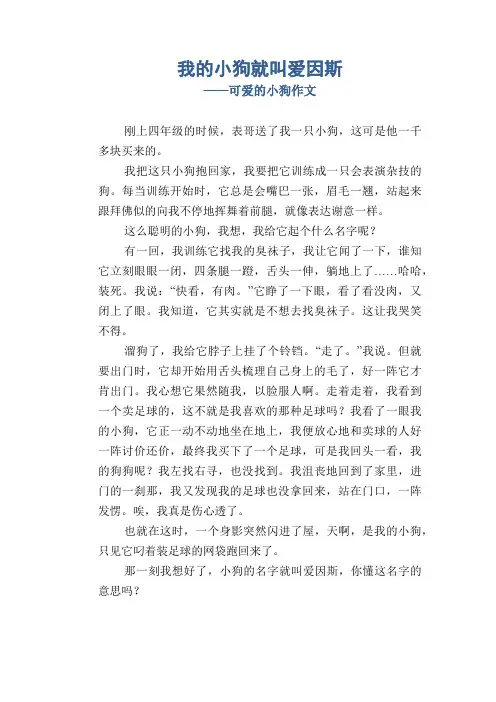 小学四年级状物类习作：我的小狗就叫爱因斯_可爱的小狗作文