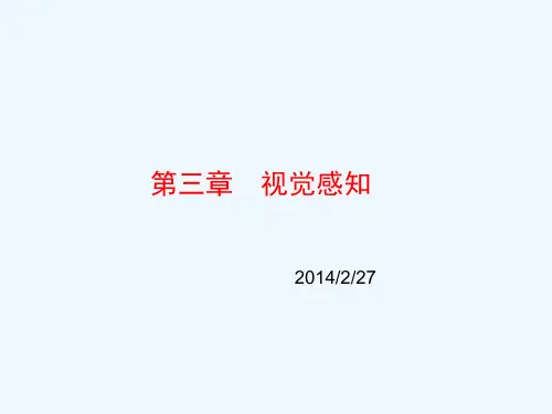 第三章视觉认知