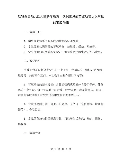 动物聚会幼儿园大班科学教案：认识常见的节肢动物