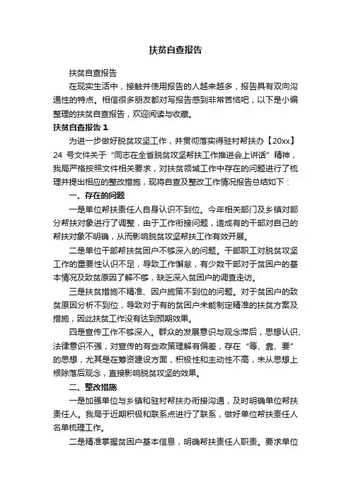 扶贫自查报告