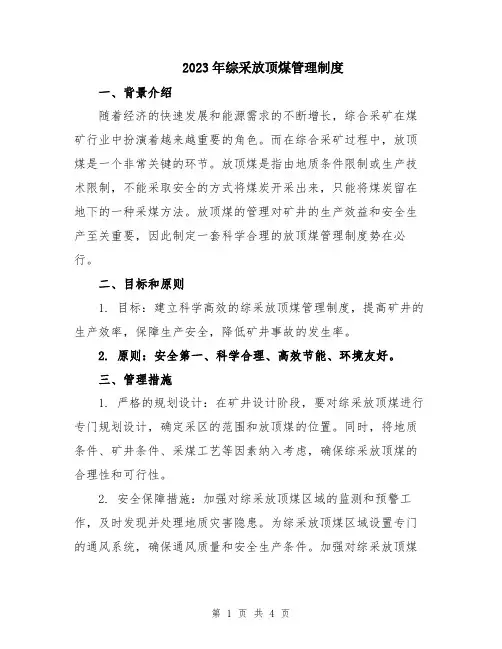 2023年综采放顶煤管理制度