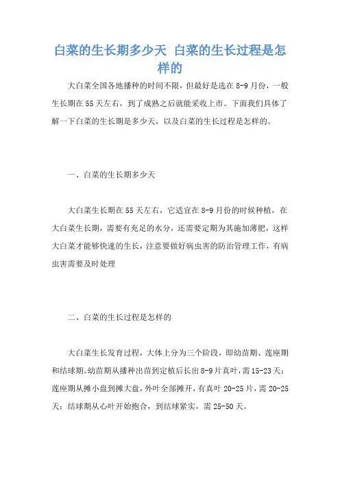 白菜的生长期多少天 白菜的生长过程是怎样的