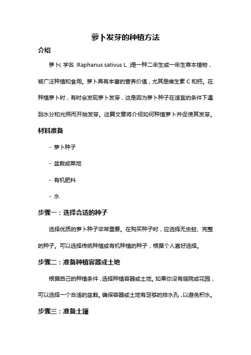 萝卜发芽的种植方法
