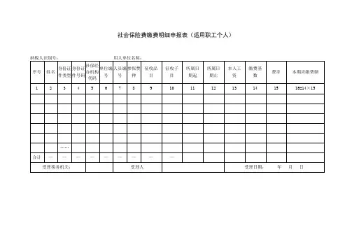社会保险费缴费明细申报表适用职工个人