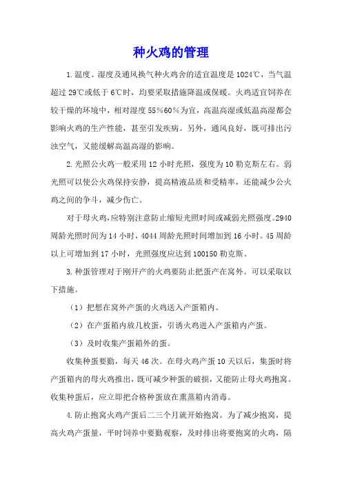 种火鸡的管理