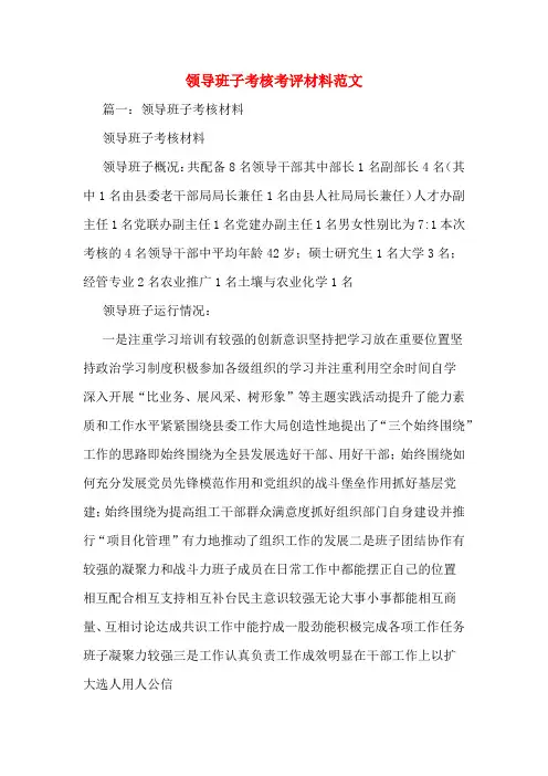 领导班子考核考评材料范文