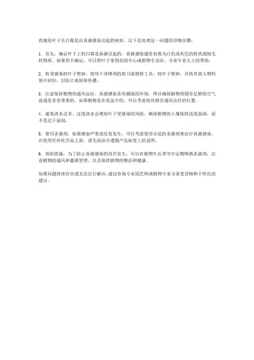 玫瑰花叶子长白霉怎么处理