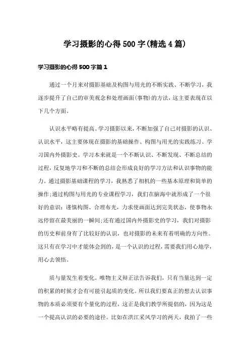 学习摄影的心得500字(精选4篇)