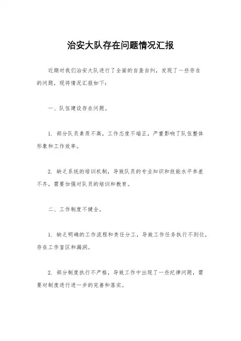 治安大队存在问题情况汇报