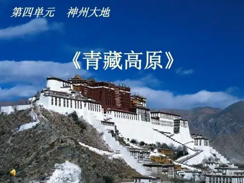 八年级音乐 青藏高原