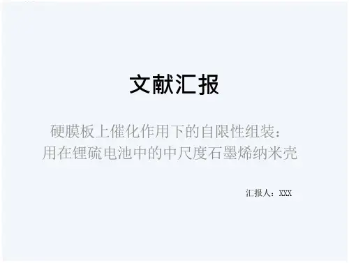 英文文献汇报