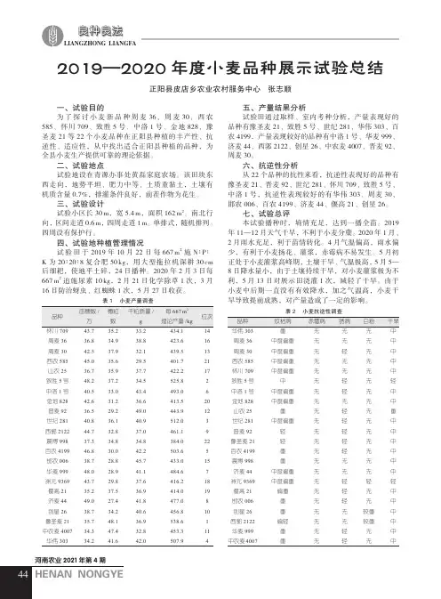 2019—2020年度小麦品种展示试验总结