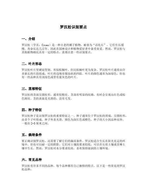 罗汉松识别要点