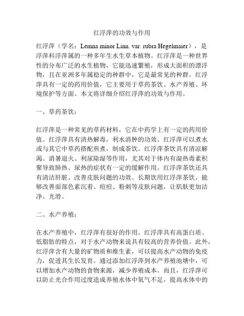 红浮萍的功效与作用