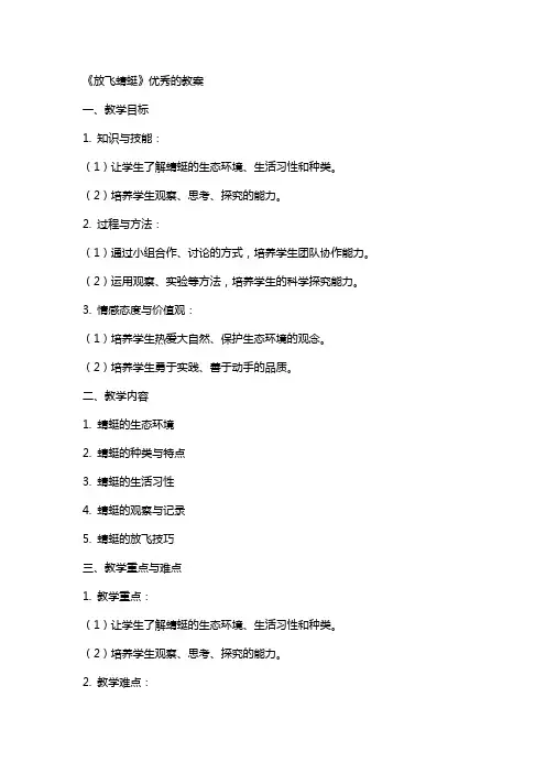 《放飞蜻蜓》的教案