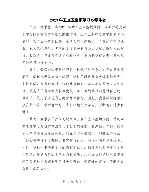 2023年五查五整顿学习心得体会
