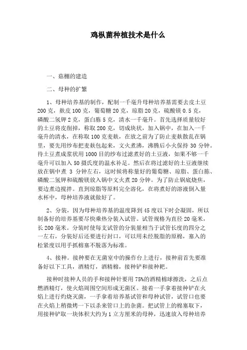 鸡枞菌种植技术是什么