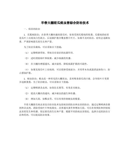 早春大棚甜瓜病虫害综合防治技术