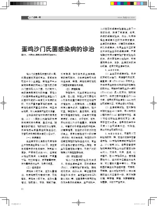 蛋鸡沙门氏菌感染病的诊治