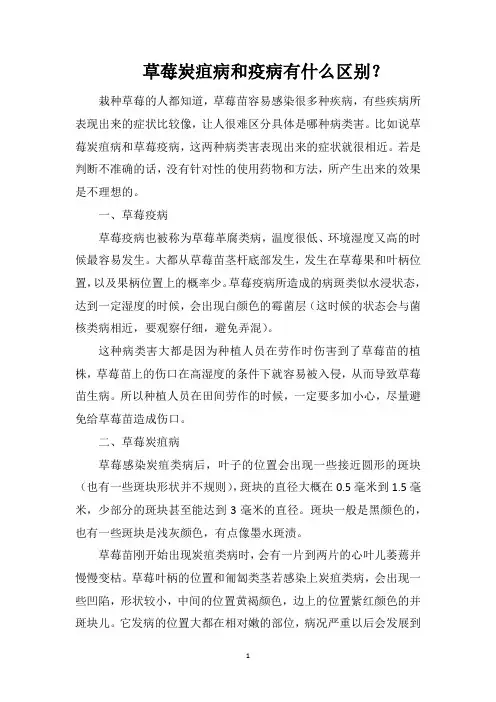 草莓炭疽病和疫病有什么区别？