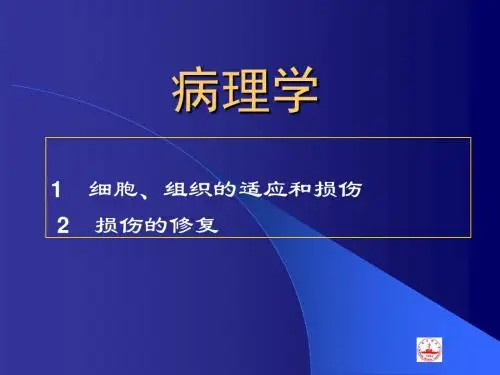 病理学(损伤及修复)