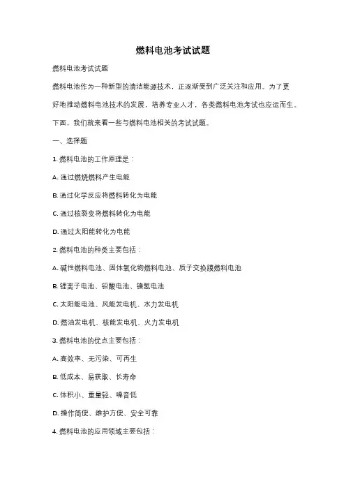 燃料电池考试试题