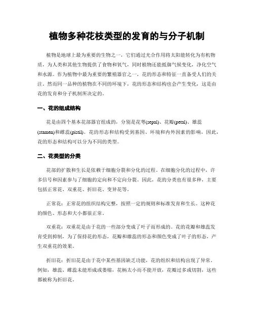 植物多种花枝类型的发育的与分子机制
