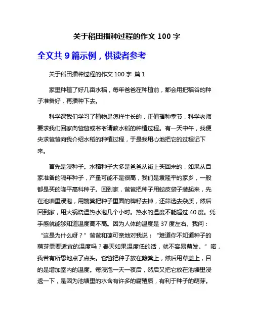 关于稻田播种过程的作文100字