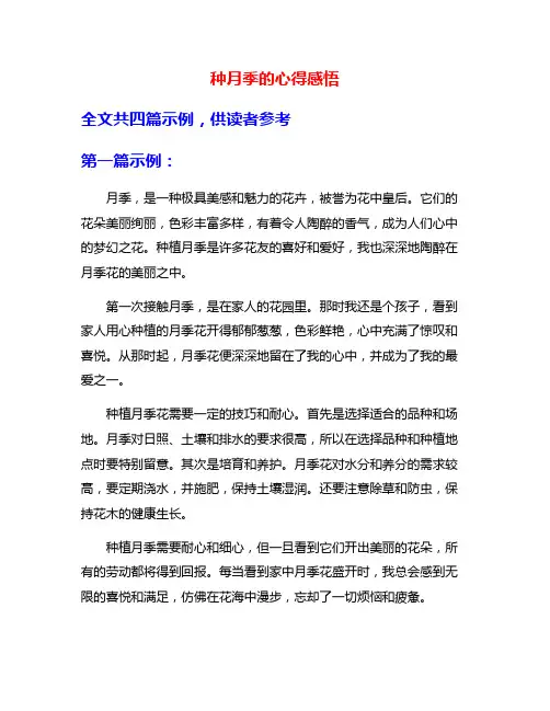 种月季的心得感悟