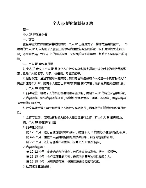 个人ip孵化策划书3篇