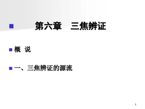三焦辨证表课件ppt