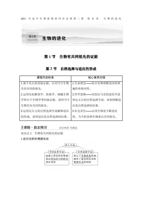 2024年高中生物新教材同步必修第二册 第6章 生物的进化生物有共同祖先的证据 第2节 自含答案