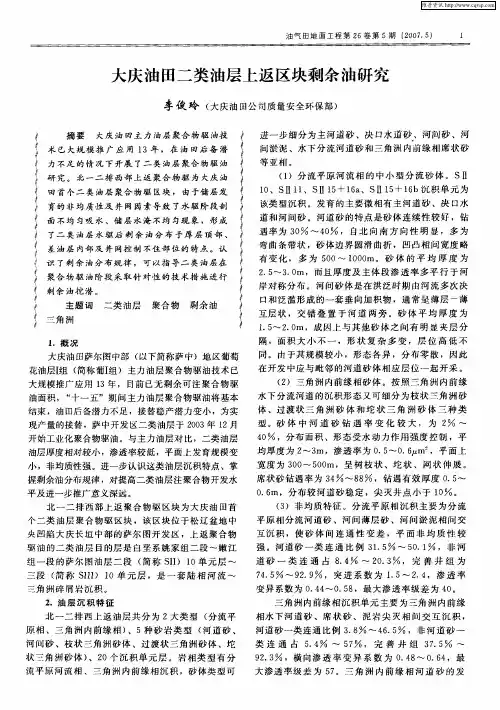 大庆油田二类油层上返区块剩余油研究