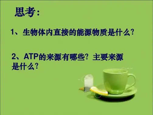 探究酵母菌细胞呼吸的方式-汇报课(共24张PPT)