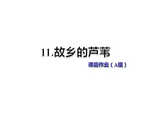 五年级上册语文课件-第11课 故乡的芦苇 作业(A组)-教科版