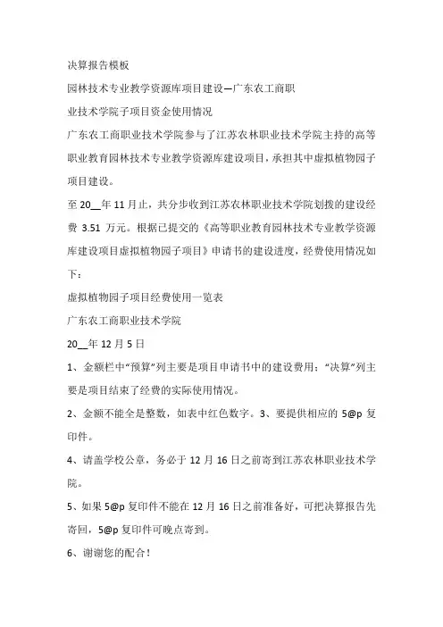决算报告模板