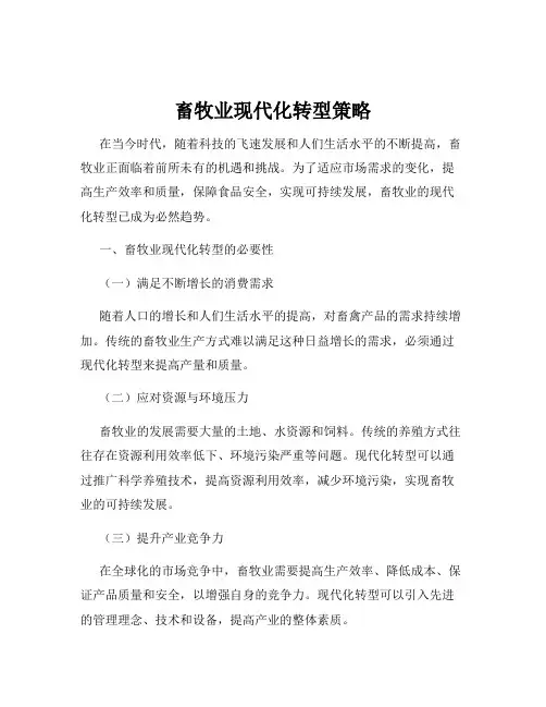 畜牧业现代化转型策略