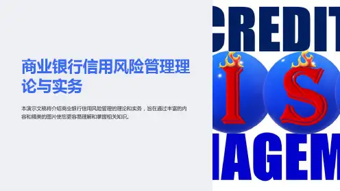 商业银行信用风险管理理论与实务