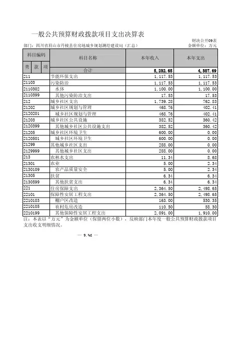 一般公共预算财政拨款项目支出决算表